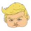 BABYTRUMP