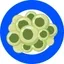 The Frogspawn