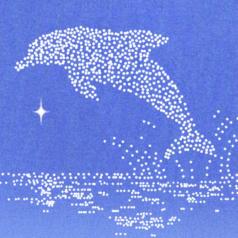 Dolphin 钱包