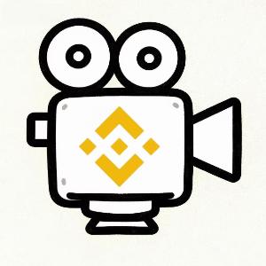 vlog token on BNB Chain