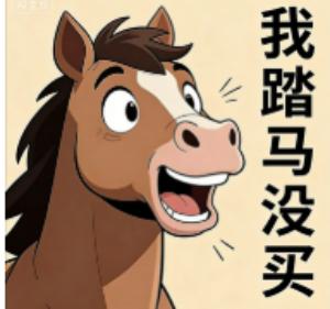 我踏马没买