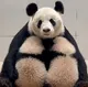福凤
