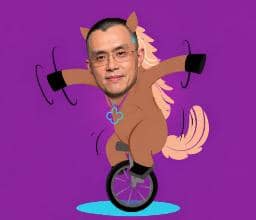 只会一招鲜的小马 钱包