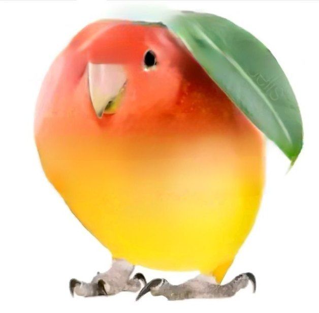 蓝瘦香菇