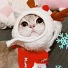 lana爆火交易bot
