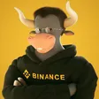币安美股的吉祥物象征-Wallet