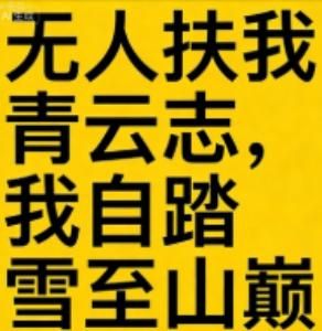 无人扶我青云志，我自踏雪至山巅