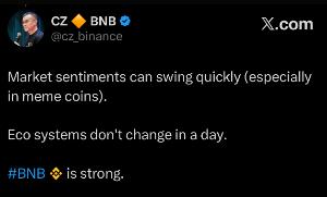 BNB STRONG