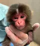 BABYPUNCH