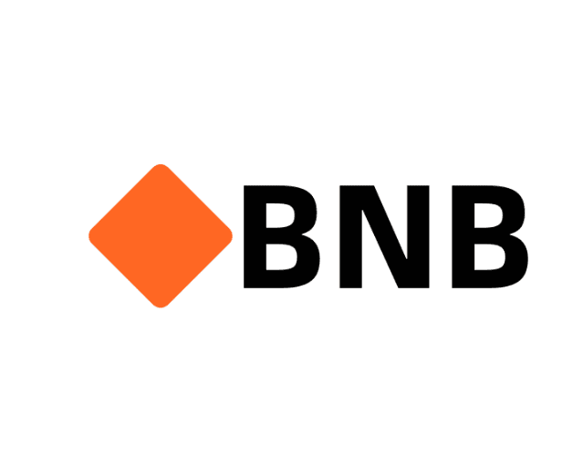 🔶 BNB