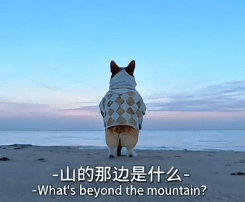 山的那边是什么