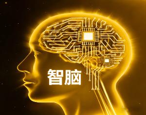 智脑