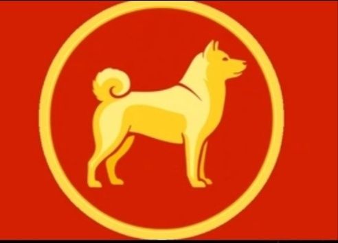 金狗