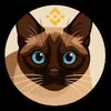 BNB'S CAT