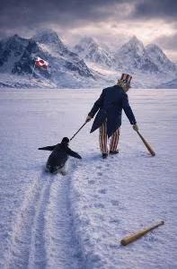 为企鹅伸张正义