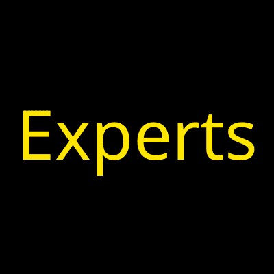EXPERTS