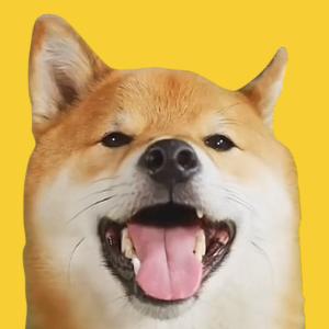TOFU