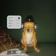 eventdog Wallet