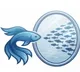 MIROFISH