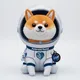 ASTROFUND