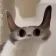 提米