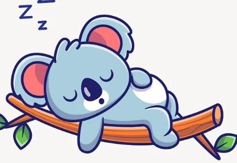 考拉會睡得很好