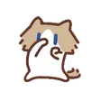 Billetera 抖音爆火小猫表情包