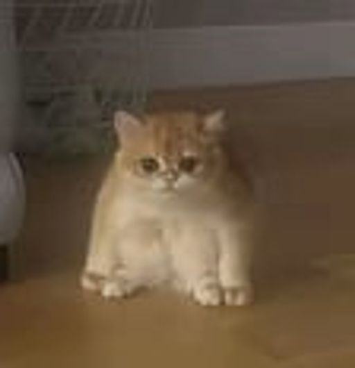 TOFU