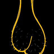 抬起你的蛋蛋，把屁股掰开