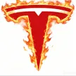 Tesla Life Wallet