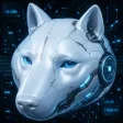 compute inu Wallet