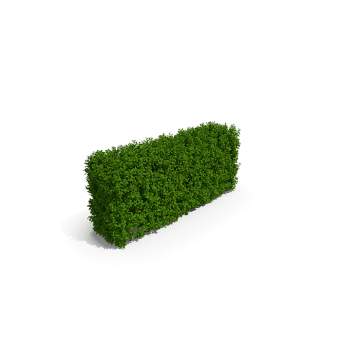 HEDGE