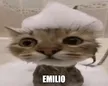 emilio Wallet