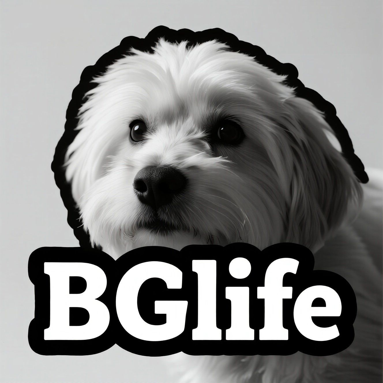 BGLIFE