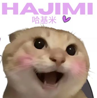 HAJIMI