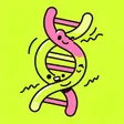 MEME DNA Wallet