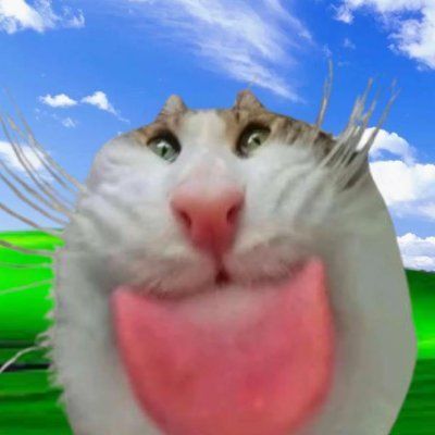 MIAO