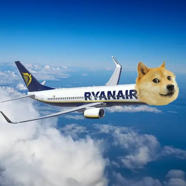 DOGEAIR