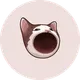 POPCAT