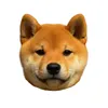 子犬