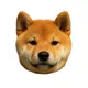 KOINU