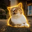 ワンワン猫 Wallet