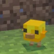 Baby Chicken Wallet