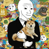 SHITCOINER