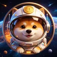 太空狗+暴力分红SPCXon+通缩销毁 钱包