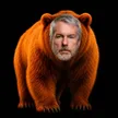 The Orange Bear 钱包
