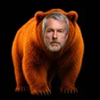 The Orange Bear 钱包