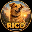 Rico 钱包