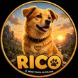 Rico 钱包