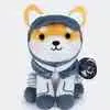 Asteroid The Space Shiba Inu